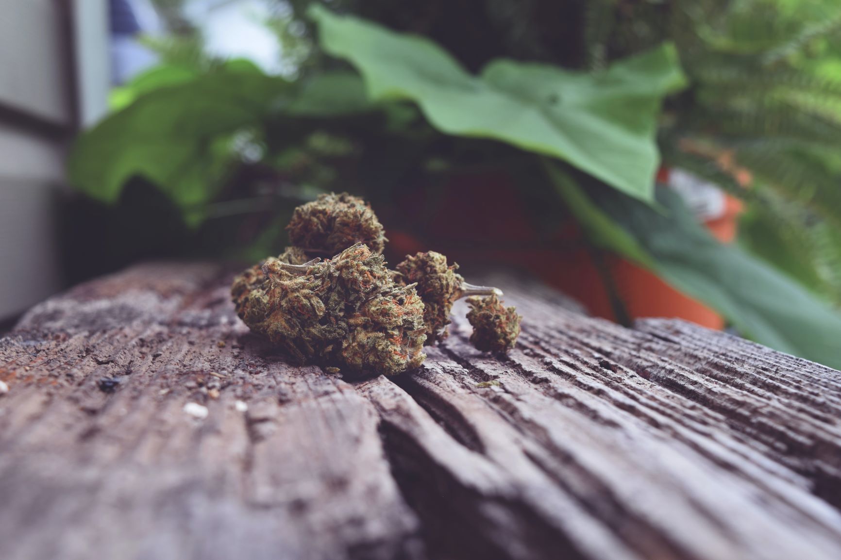 CBD